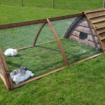 Rabbit Hutch with Run